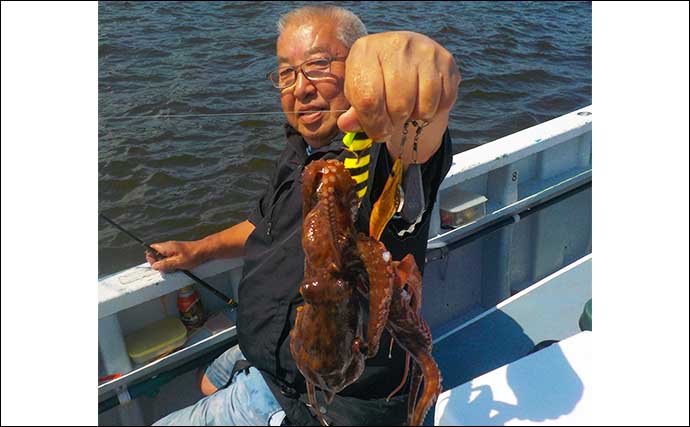 解禁直後の東京湾船マダコ釣りに挑戦　船中オデコなしで1～16尾