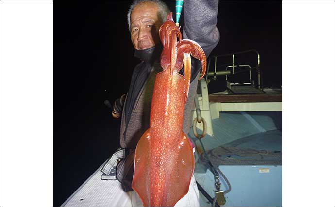 【玄界灘】夜焚きイカ最新釣果　50cmオーバー頭に良型ヤリイカ好調