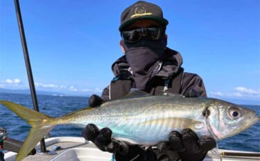 【熊本・大分】沖釣り最新釣果　50cm級「超」大型アジがヒット