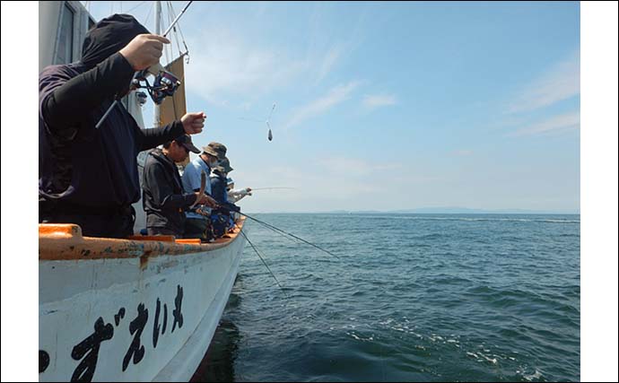 船でのシロギス釣りでトップ52匹　想定外のゲストに2.3kg大型マダコ