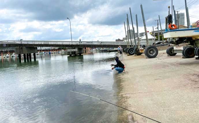 船橋港でのハゼ釣りで本命30尾　干潮タイミングで活性アップ