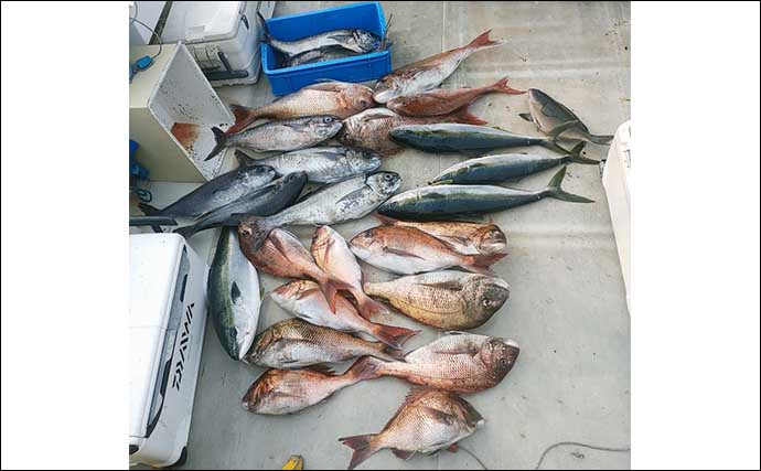 【福井】沖釣り最新釣果　完全フカセ釣りで110cm超えヒラマサ連打