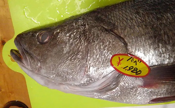 ルアー釣り人気対象魚の オオニベ がココイチのカレーになった Tsurinews