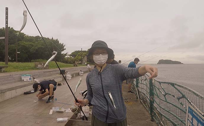 横須賀海辺釣り公園で胴突き＆サビキ釣り　時合いにイワシが入れ食いに