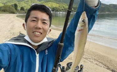 敦賀半島でちょい投げキス釣り　単発ながらコンスタントにアタり18匹