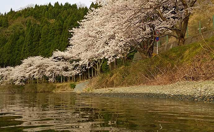 琵琶湖で「観光＋バス釣り」：高島エリア　市面積は滋賀最大で見所豊富