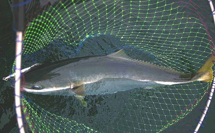 832589a08b7964de522b2048c65a7d