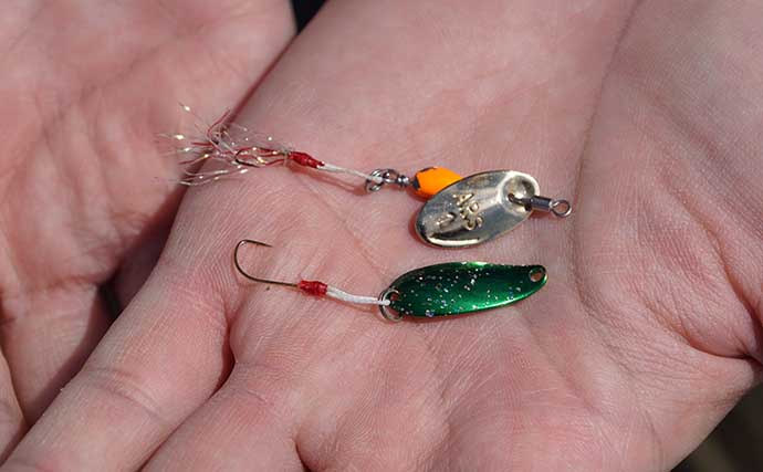 「カワムツ（ハヤ）」をルアーで釣る方法　道具・ルアー・釣り方を解説