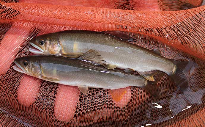 『天然ウナギ』釣りに有効なエサ5選　採取方法＆効果的な状況も解説