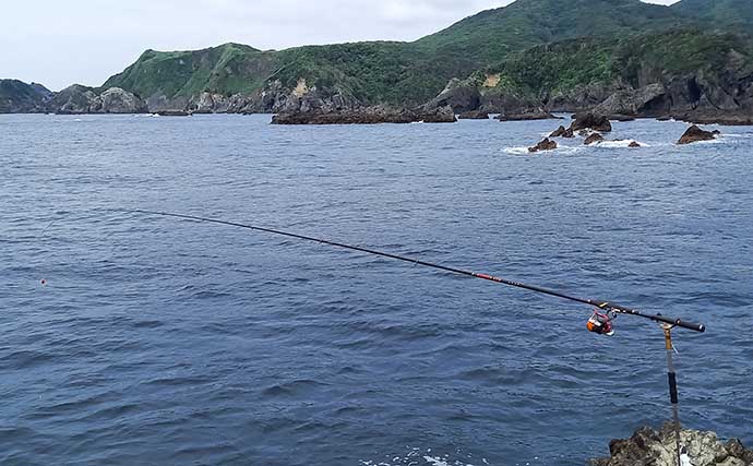 小サバ泳がせ釣りで75cmヒラスズキ　フカセタックルで25分間の激闘制す