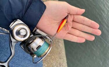 小型メタルジグを使ったショアジギング入門　道具・釣り場選び・釣り方