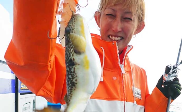 鹿島沖ショウサイフグ釣りで良型続々　好ゲストにトラフグも顔出し