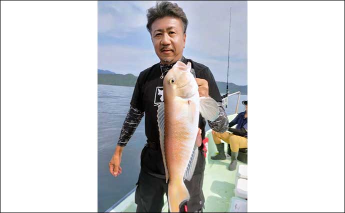 【三重】沖釣り最新釣果　旬のイサキ釣りで良型ぞろいクーラー満タン