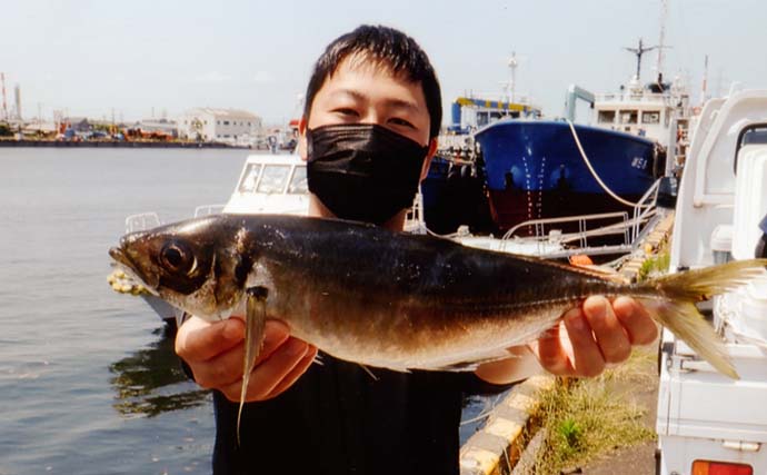 大分県で関アジ釣り満喫　我慢の釣りを制して35～45cmマアジ12尾