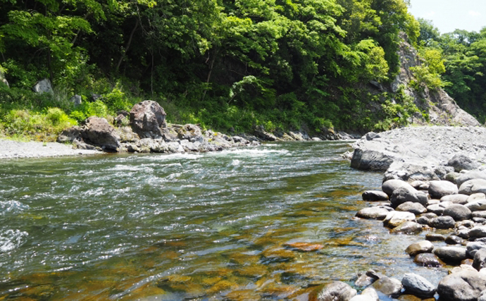 多摩川で注目される危険な外来種の「藻」　駆除は「塩か熱湯」が有効？
