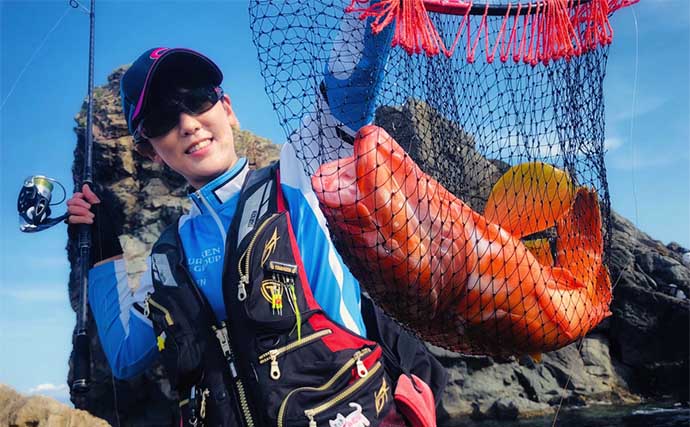 日本記録に迫る【50cmアカハタ】を釣りあげた　磯でのルアー釣りで手中