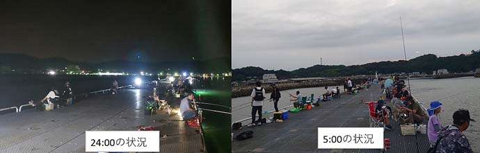 愛知での夜の二刀流釣りでアジ＆ヒイカ　サビキとウキ釣りでキャッチ