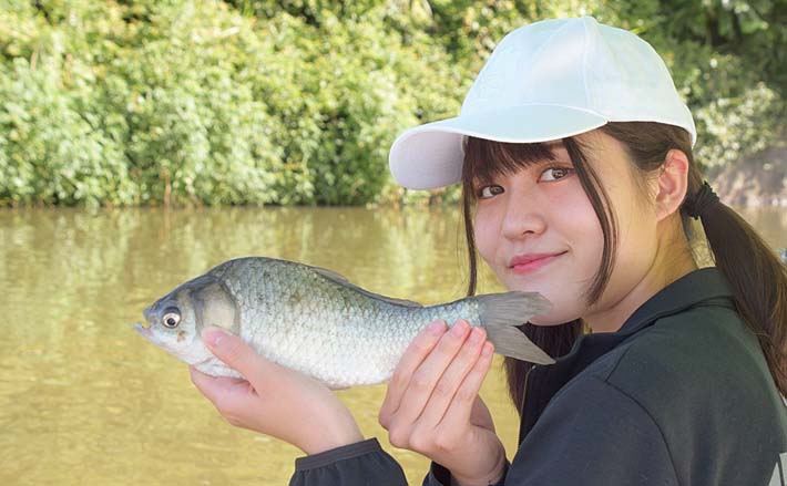 愛知・佐屋川でのヘラブナ釣りで35cm頭に17匹 カッツケ仕掛けで手中