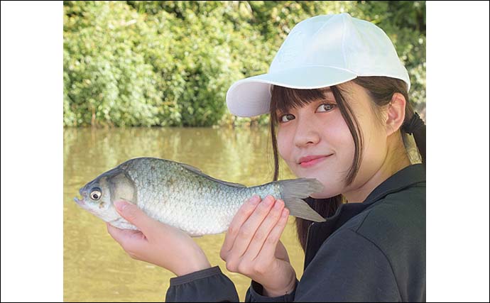 愛知・佐屋川でのヘラブナ釣りで35cm頭に17匹　カッツケ仕掛けで手中