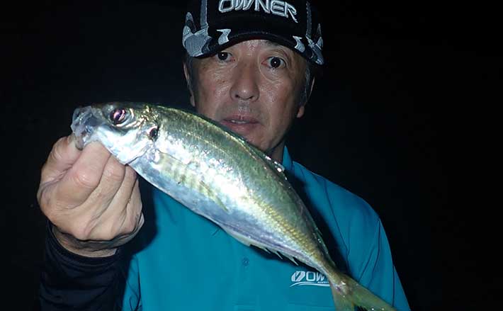 電気釣り 電気ウキのシーズン到来 夜の堤防エサ釣りでセイゴにアジにメバル