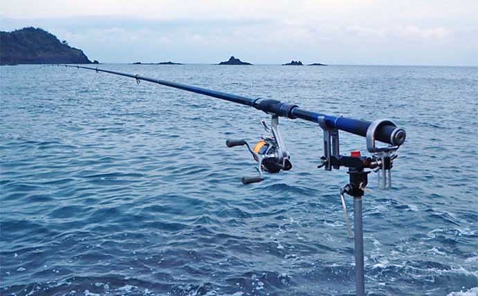 ゼロから始めるヤエン釣法5つのポイント！アオリイカの独特な釣り方