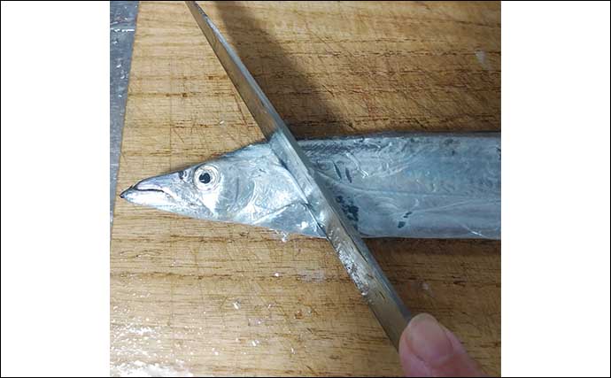 釣魚「おつまみ」レシピ：小型タチウオの唐揚げ　捌き不要の骨切りでOK