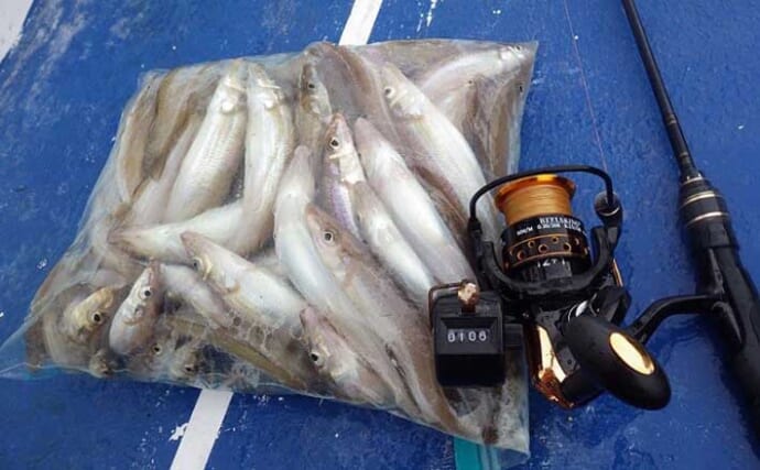 外房の船キス釣りで22cm頭に106匹　型もジャンボ中心で大満足
