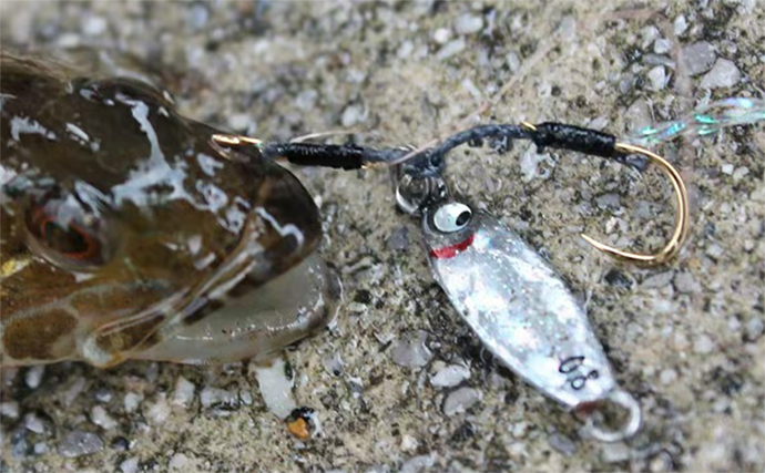 堤防ルアー釣りには【マイクロメタルがおすすめ】　魅力と釣り方を解説