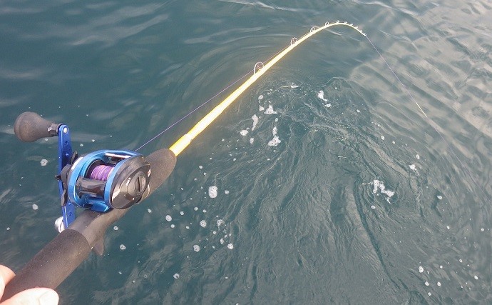 浅場根魚五目釣りで34cm頭に良型メバル連打　肝は根掛かりを恐れぬ心？