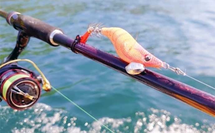 エギングで釣れたことがない人必見　イカが釣れない7つの原因と解決策