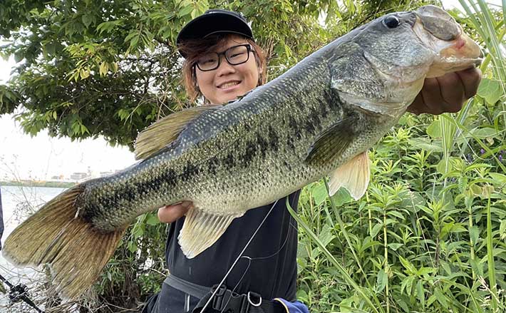 2022年】淀川のアフタースポーン「良型」ブラックバス攻略法