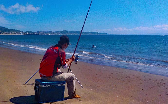 三浦海岸での投げ釣りで20cm超え良型含みシロギス12尾キャッチ