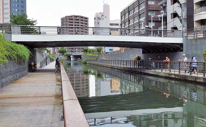 東京23区の河川でハゼ釣り満喫　釜揚げシラスエサで13cm頭に25尾