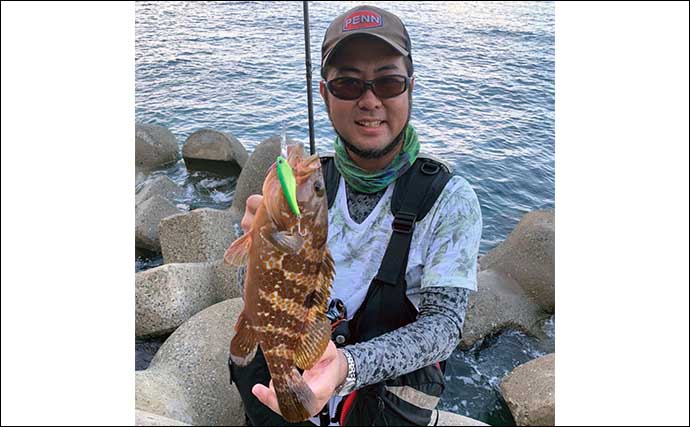 【2022年】キジハタプラッギング入門　メリットと具体的な釣り方を解説