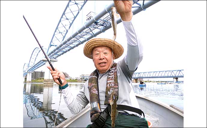 江戸川放水路のボートハゼ釣りでヒネ交じりに119尾　入れ食いを堪能