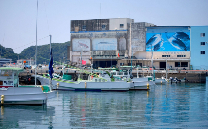 2022年の夏カツオの脂乗りに異変あり　初鰹なのになぜかコッテリに？