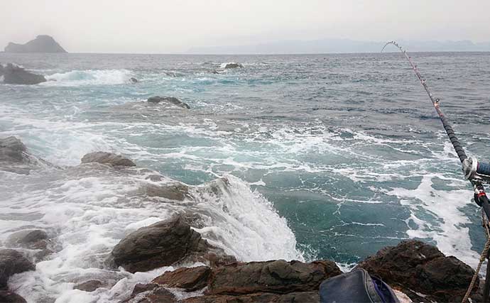 島根・隠岐島の磯で60cm級頭にイシダイ3匹　秋シーズンに好期待