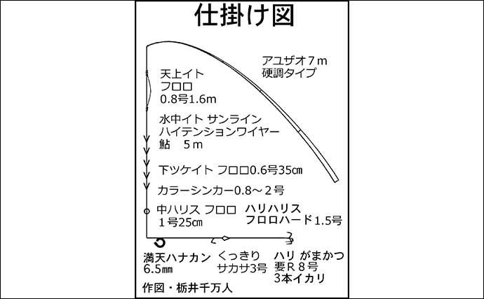 岐阜でのアユトモ釣りで23cm頭に良型中心31匹　半分は20cm超え