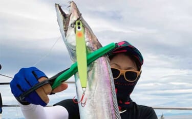 【大分・熊本】沖釣り最新釣果　ジギングとテンヤいずれもタチウオ好調