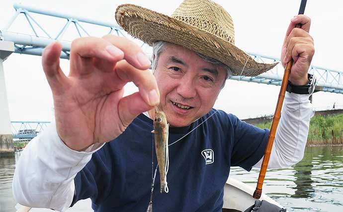 江戸川放水路のボートハゼ釣りで50尾手中　竹製のノベ竿で快引堪能