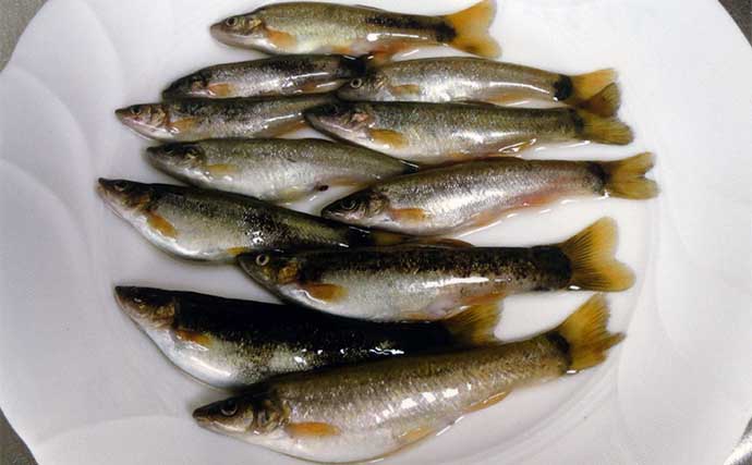 釣り人的「ゲスト魚地位向上」レシピ　淡水＆海水魚4種をまとめて紹介