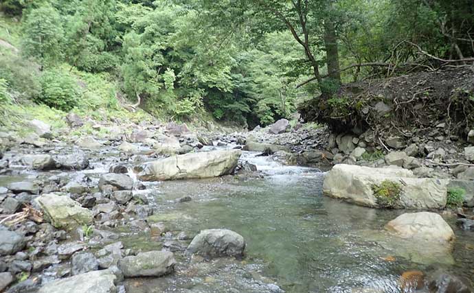奈良・十津川の渓流ルアーゲームでアマゴ7匹　初場所を冒険気分で探索
