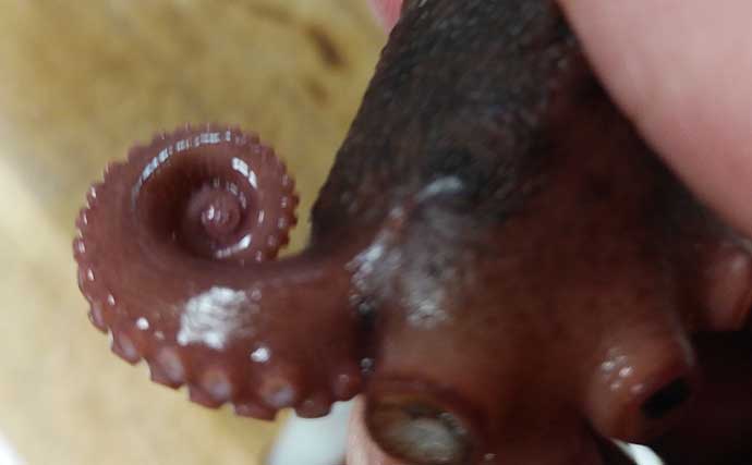 12. スーパーですべてを買います(そして車の中でそれを切り裂き始めます)