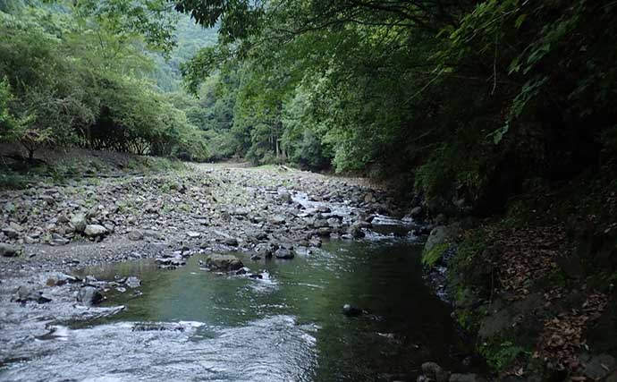 奈良・十津川の渓流ルアーゲームでアマゴ7匹　初場所を冒険気分で探索