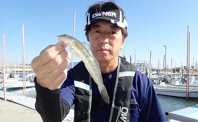 熊本の堤防ちょい投げ釣りで20cm級を筆頭に「秋ハゼ」が入れ食い　