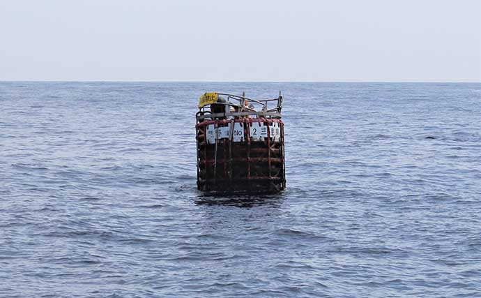 ルアーマグロ釣り入門：『エビング』のススメ　30kg級メバチマグロ浮上