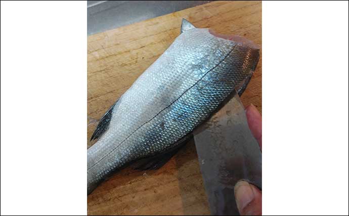 「夏バテ対策」釣魚レシピ：ヒラスズキの冷や汁　ベースは作り置きOK