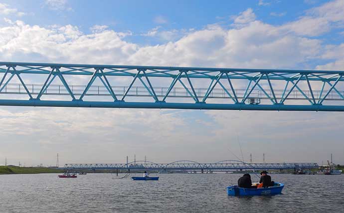 江戸川放水路のボートハゼ釣りで本命130尾　子供と一緒に短時間で満喫