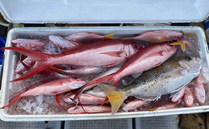 宮古島で沖縄3大高級魚『アカマチ』を釣る　宮古は深場釣りの天国？