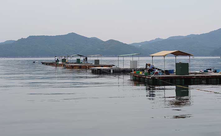 イカダ釣り愛好家が実際に直面した【釣り場で起こった怖い話3選】 | TSURINEWS